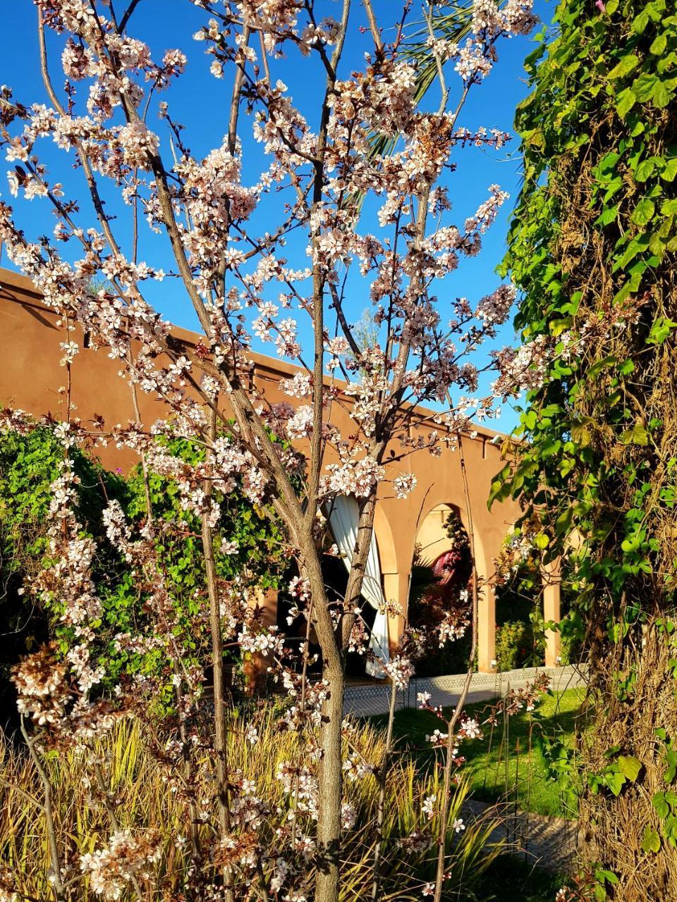 Ksar Salha Hotel Douar Draa ภายนอก รูปภาพ