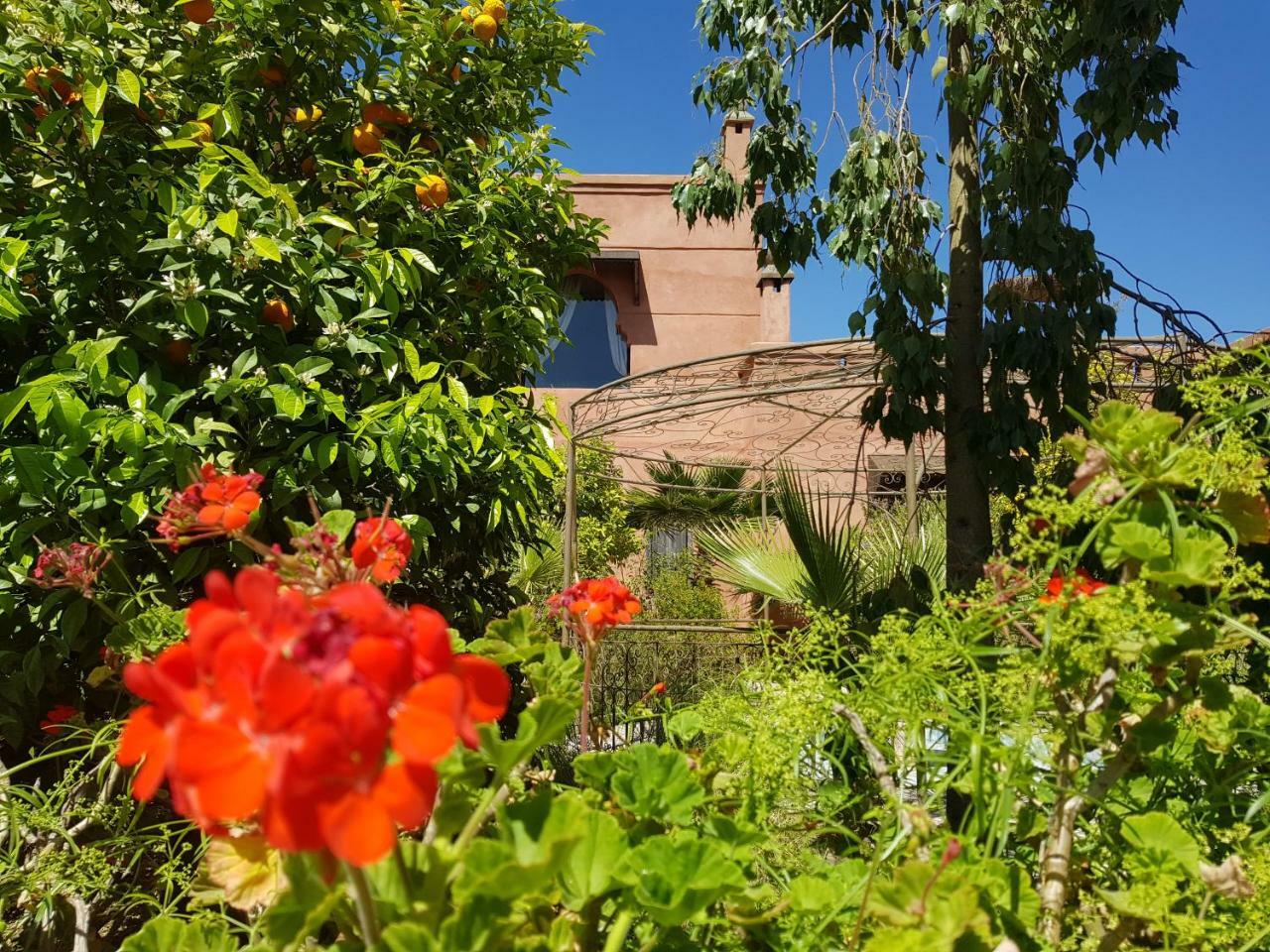 Ksar Salha Hotel Douar Draa ภายนอก รูปภาพ